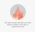 5 in 1 Ultrasonic SkinFirming Device - 图片 3